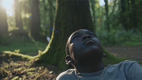 film still