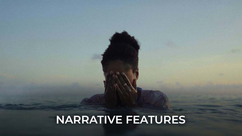 NARRATIVE FEATURES
