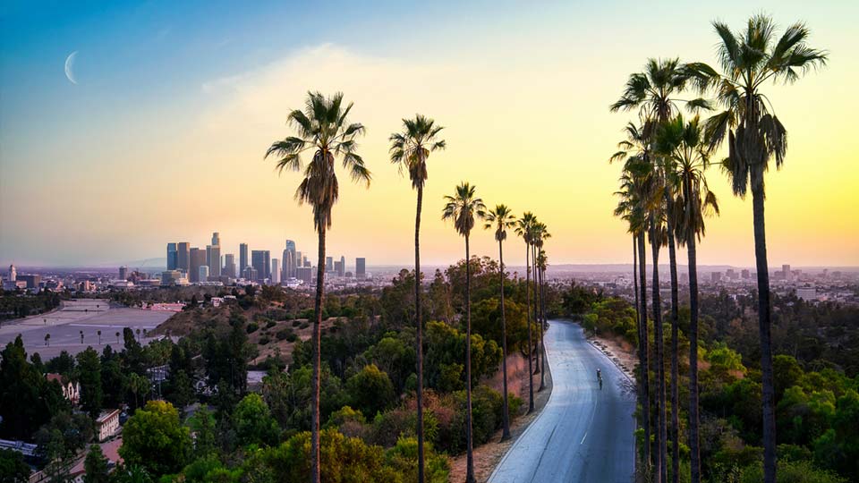 image of Los Angeles landscape